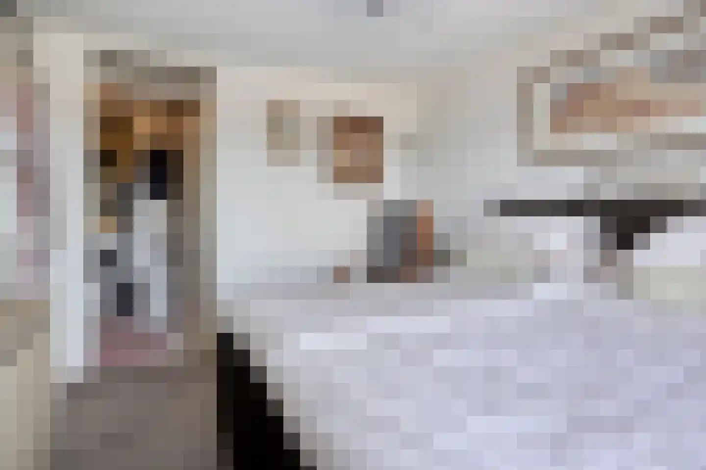 Albert Schweitzersingel 115 Zoetermeer thumbnail 13