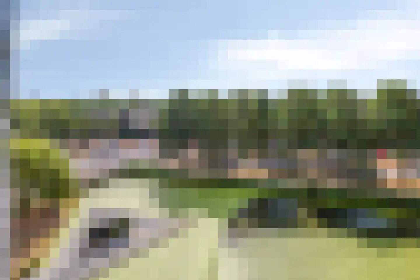 Albert Schweitzersingel 115 Zoetermeer thumbnail 26
