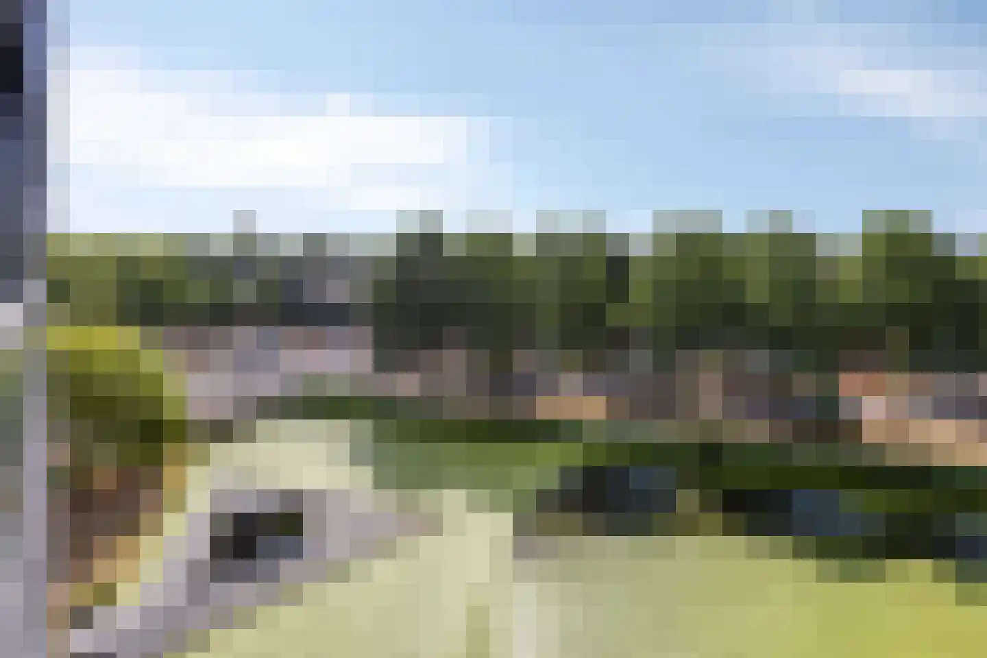 Albert Schweitzersingel 115 Zoetermeer thumbnail 4