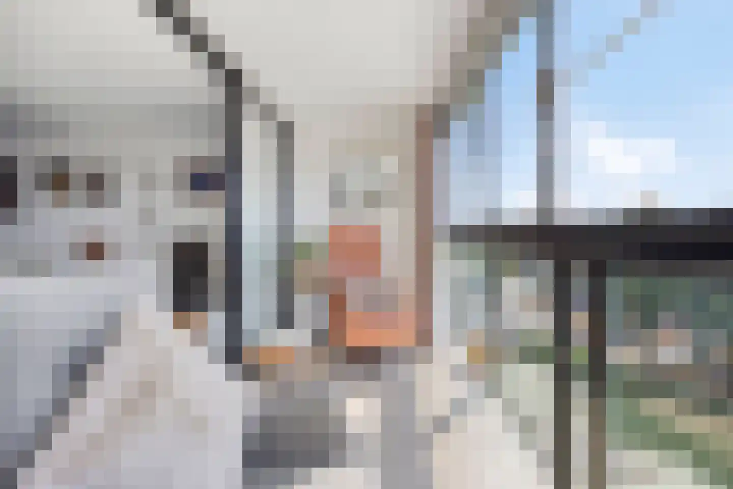 Albert Schweitzersingel 115 Zoetermeer thumbnail 7