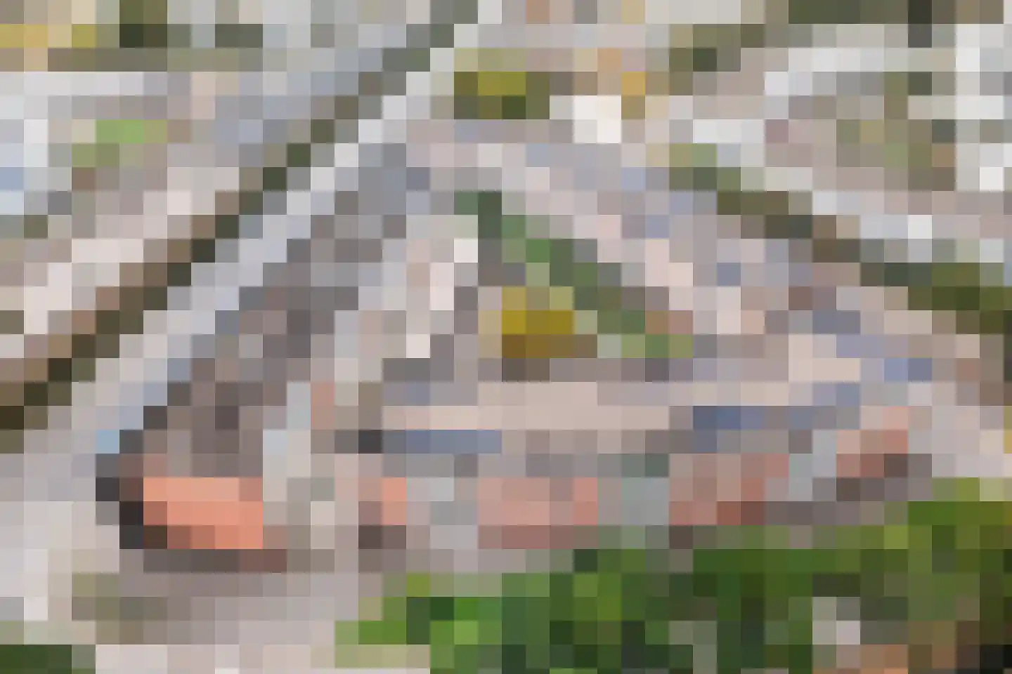 Albert Schweitzersingel 18 Amersfoort thumbnail 34