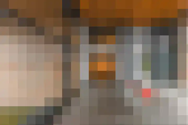 Albert Schweitzersingel 21 Zoetermeer thumbnail 10