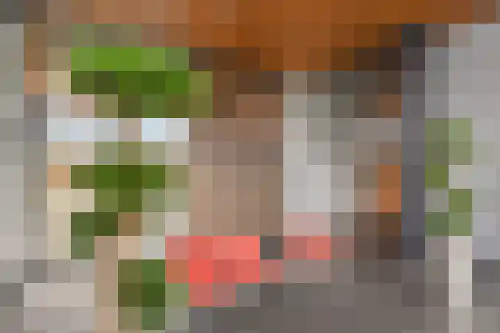 Albert Schweitzersingel 21 Zoetermeer thumbnail 11