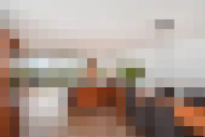 Albert Schweitzersingel 21 Zoetermeer thumbnail 13