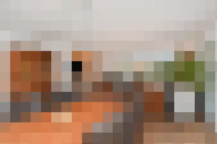 Albert Schweitzersingel 21 Zoetermeer thumbnail 14