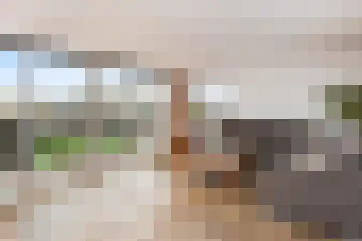 Albert Schweitzersingel 21 Zoetermeer thumbnail 16