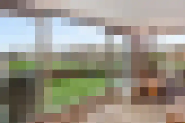 Albert Schweitzersingel 21 Zoetermeer thumbnail 19