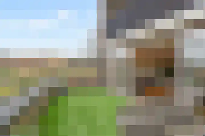 Albert Schweitzersingel 21 Zoetermeer thumbnail 22
