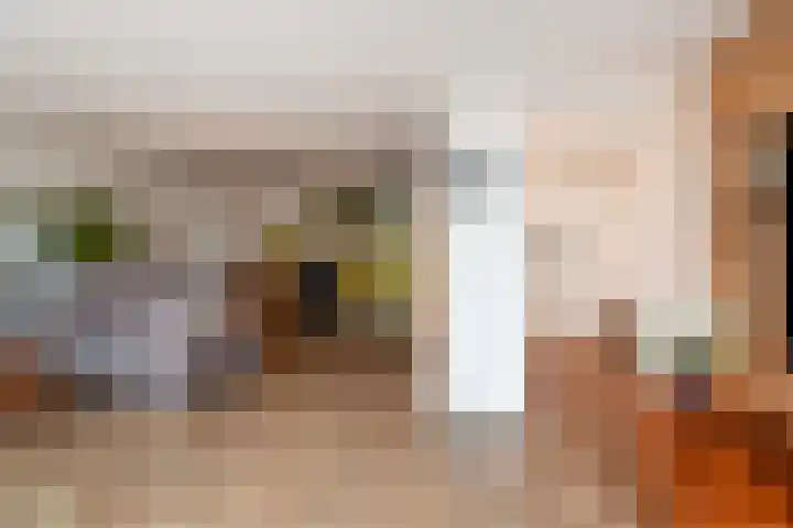 Albert Schweitzersingel 21 Zoetermeer thumbnail 23