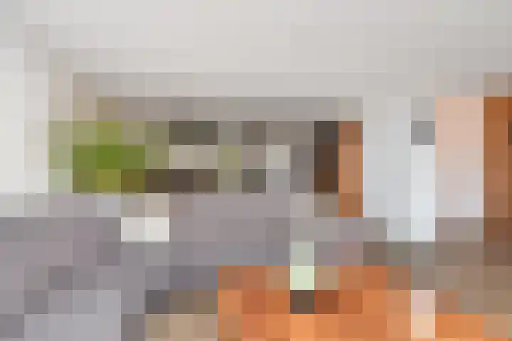 Albert Schweitzersingel 21 Zoetermeer thumbnail 24