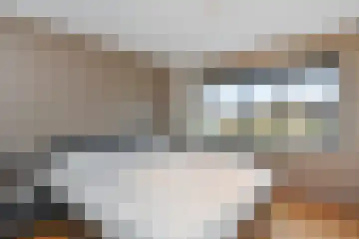 Albert Schweitzersingel 21 Zoetermeer thumbnail 28