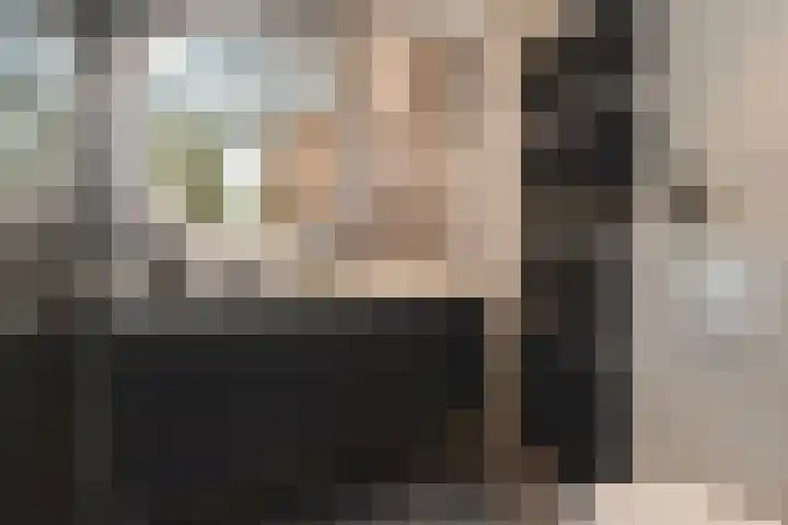 Albert Schweitzersingel 21 Zoetermeer thumbnail 34