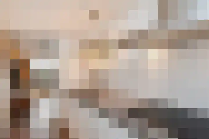 Albert Schweitzersingel 21 Zoetermeer thumbnail 4