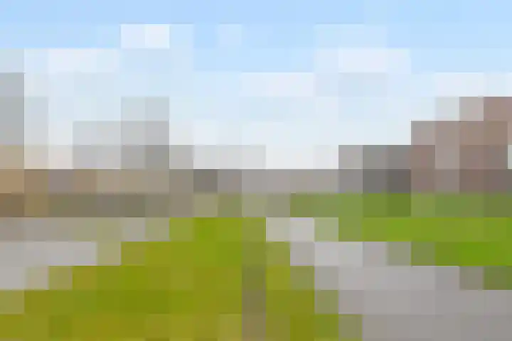 Albert Schweitzersingel 21 Zoetermeer thumbnail 46