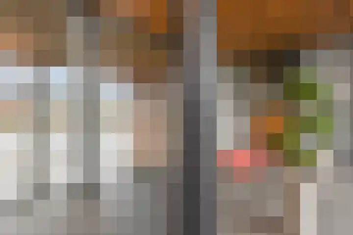 Albert Schweitzersingel 21 Zoetermeer thumbnail 9