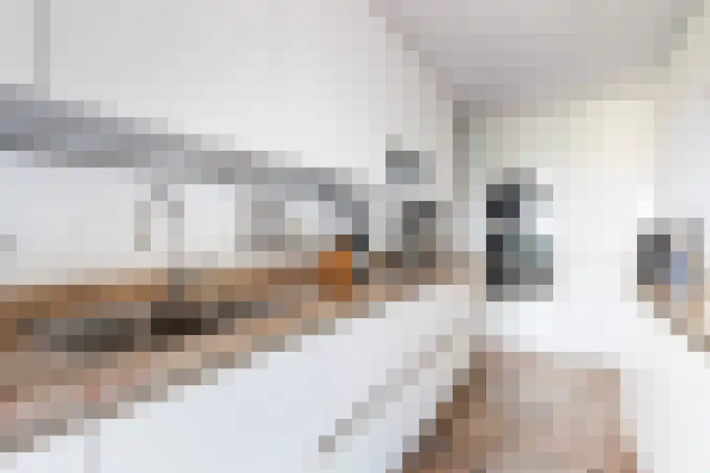 Albert Schweitzersingel 27 Zoetermeer thumbnail 23