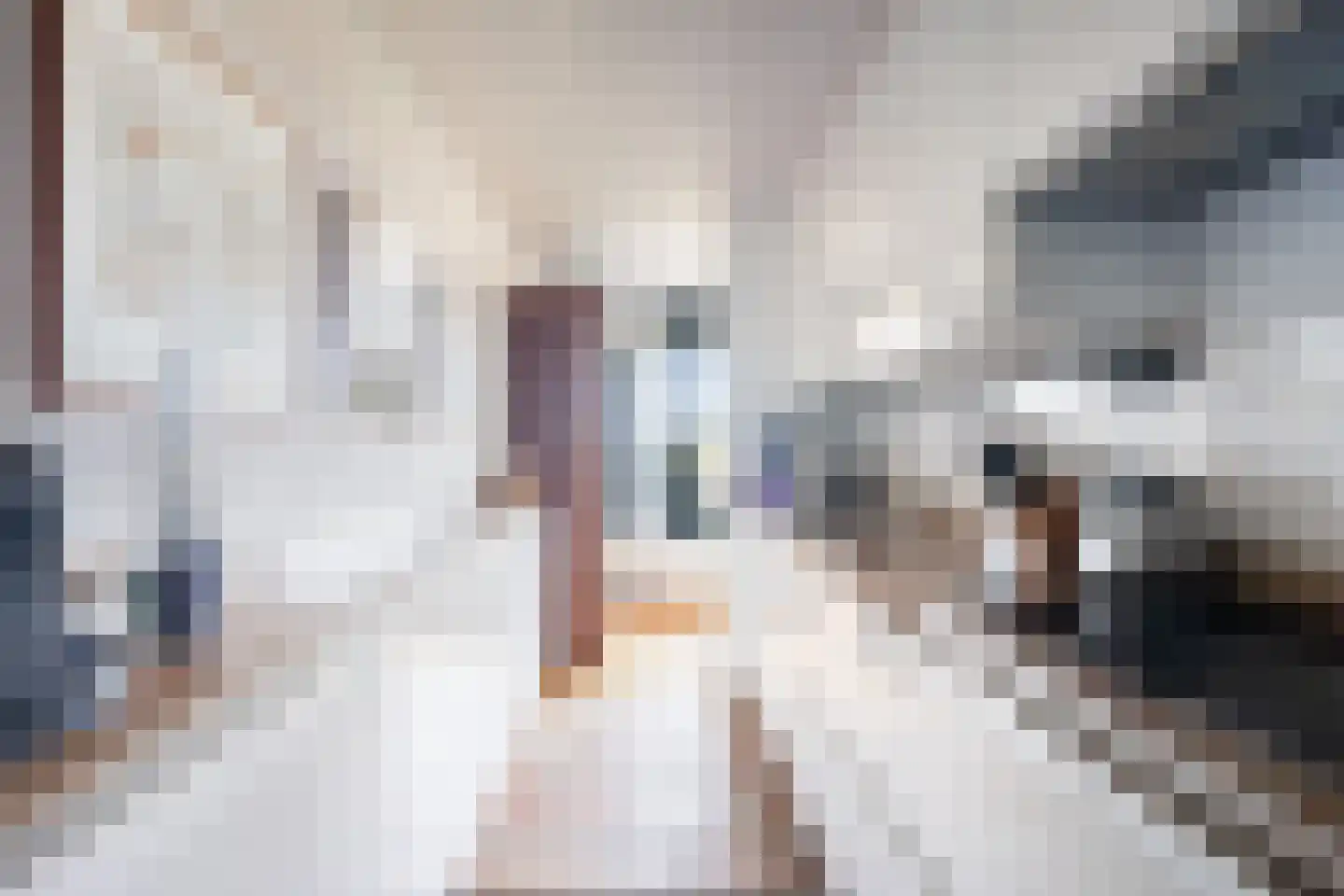 Albert Schweitzersingel 27 Zoetermeer thumbnail 24