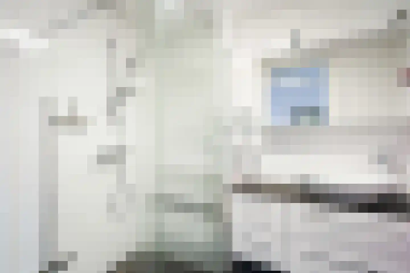Albert Schweitzersingel 27 Zoetermeer thumbnail 31