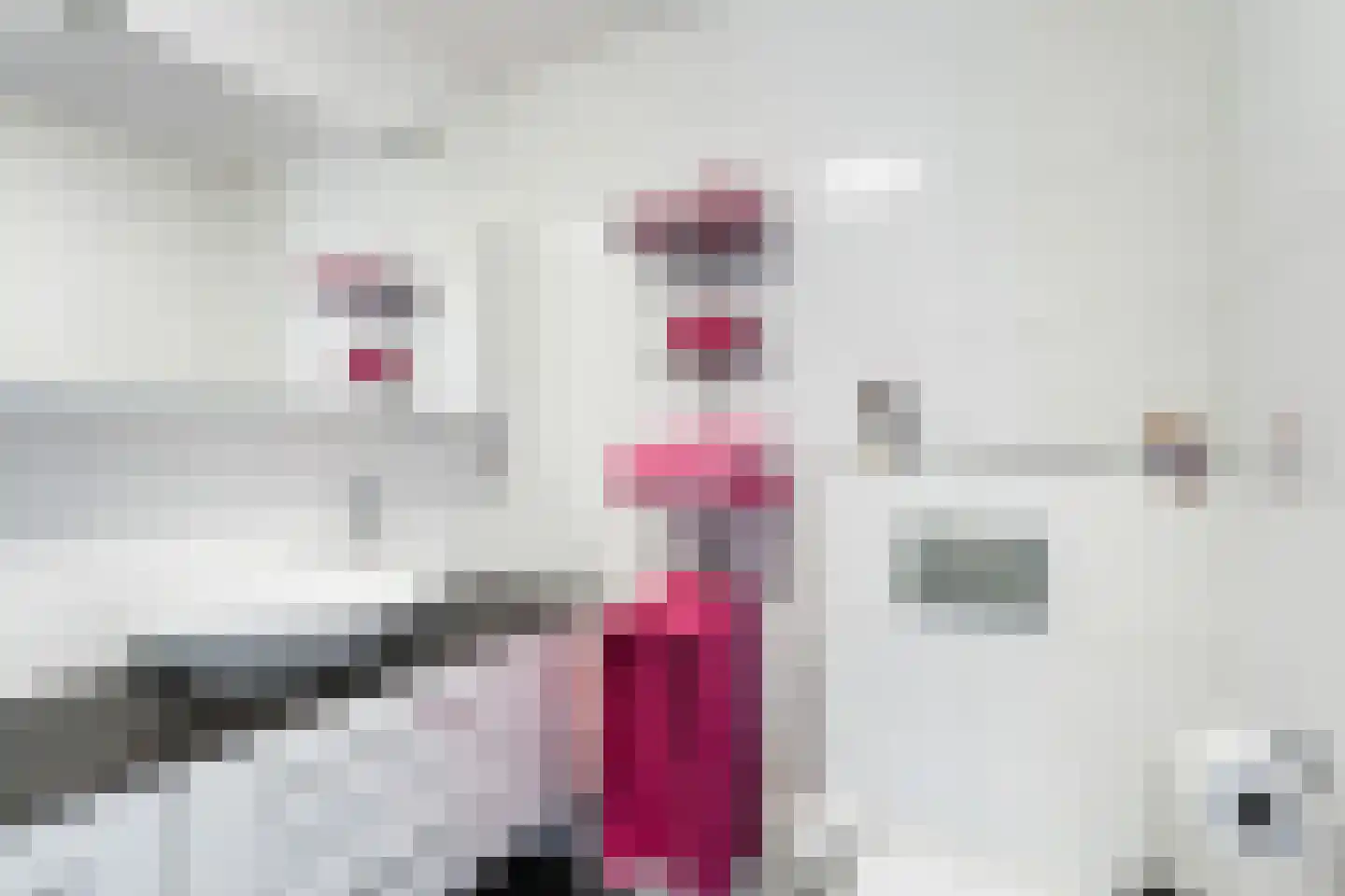 Albert Schweitzersingel 27 Zoetermeer thumbnail 32
