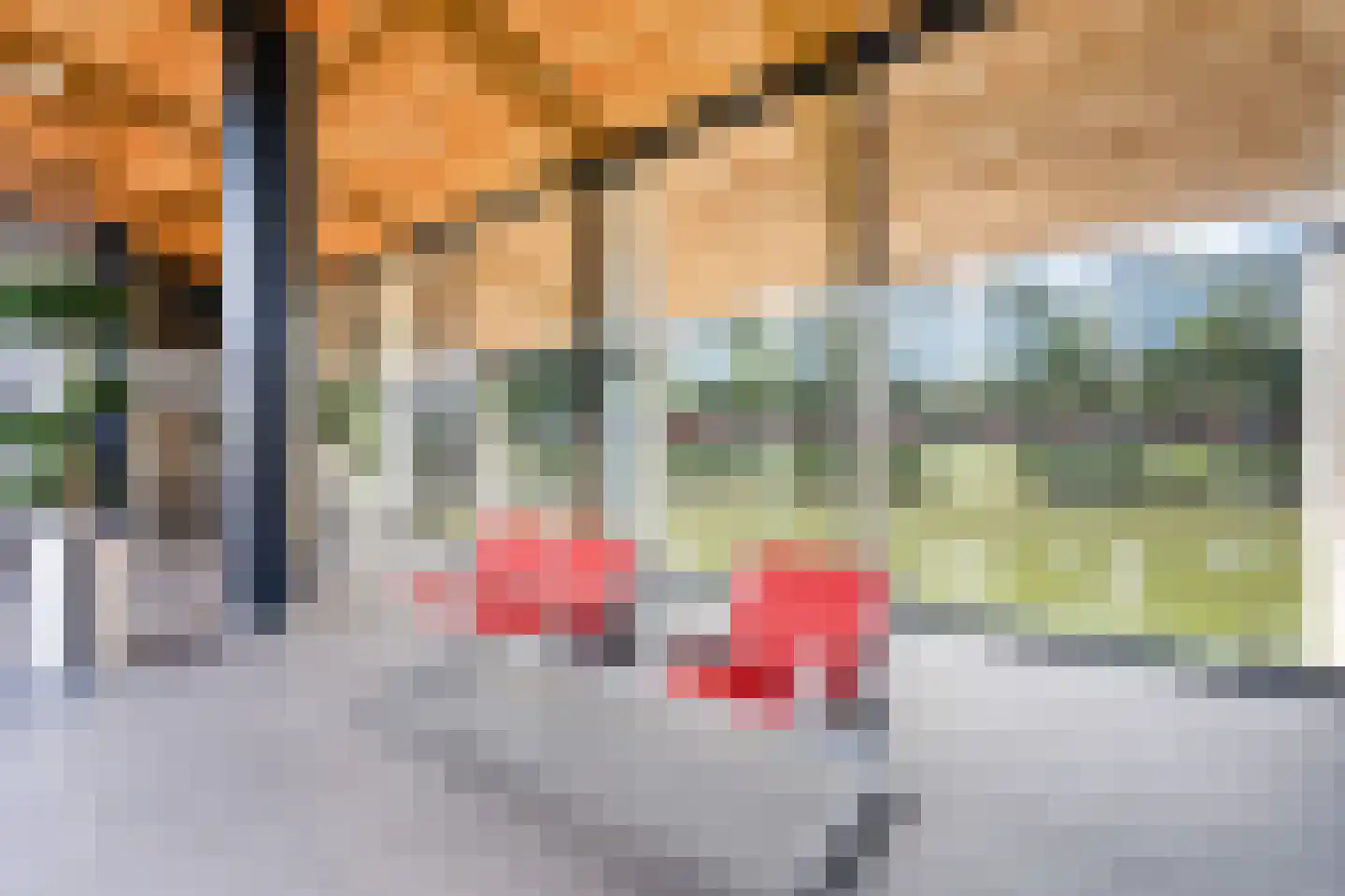 Albert Schweitzersingel 27 Zoetermeer thumbnail 34