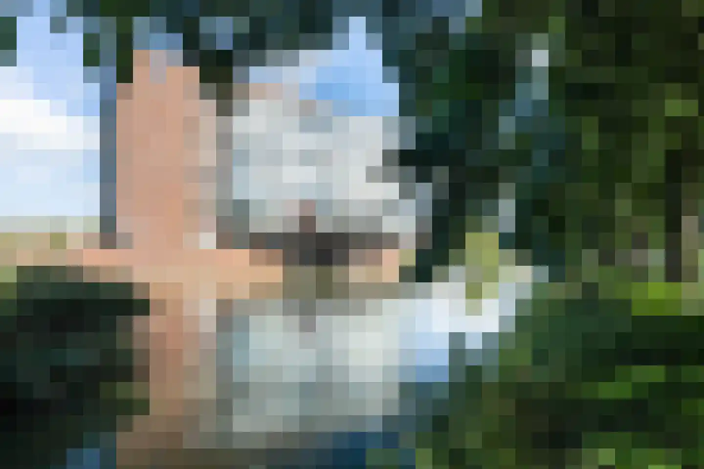 Albert Schweitzersingel 27 Zoetermeer thumbnail 36
