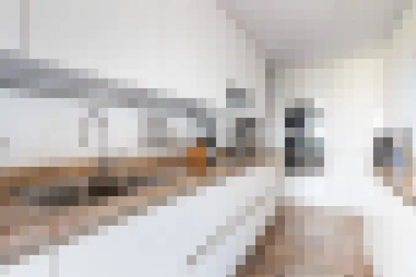 Albert Schweitzersingel 27 Zoetermeer thumbnail 5