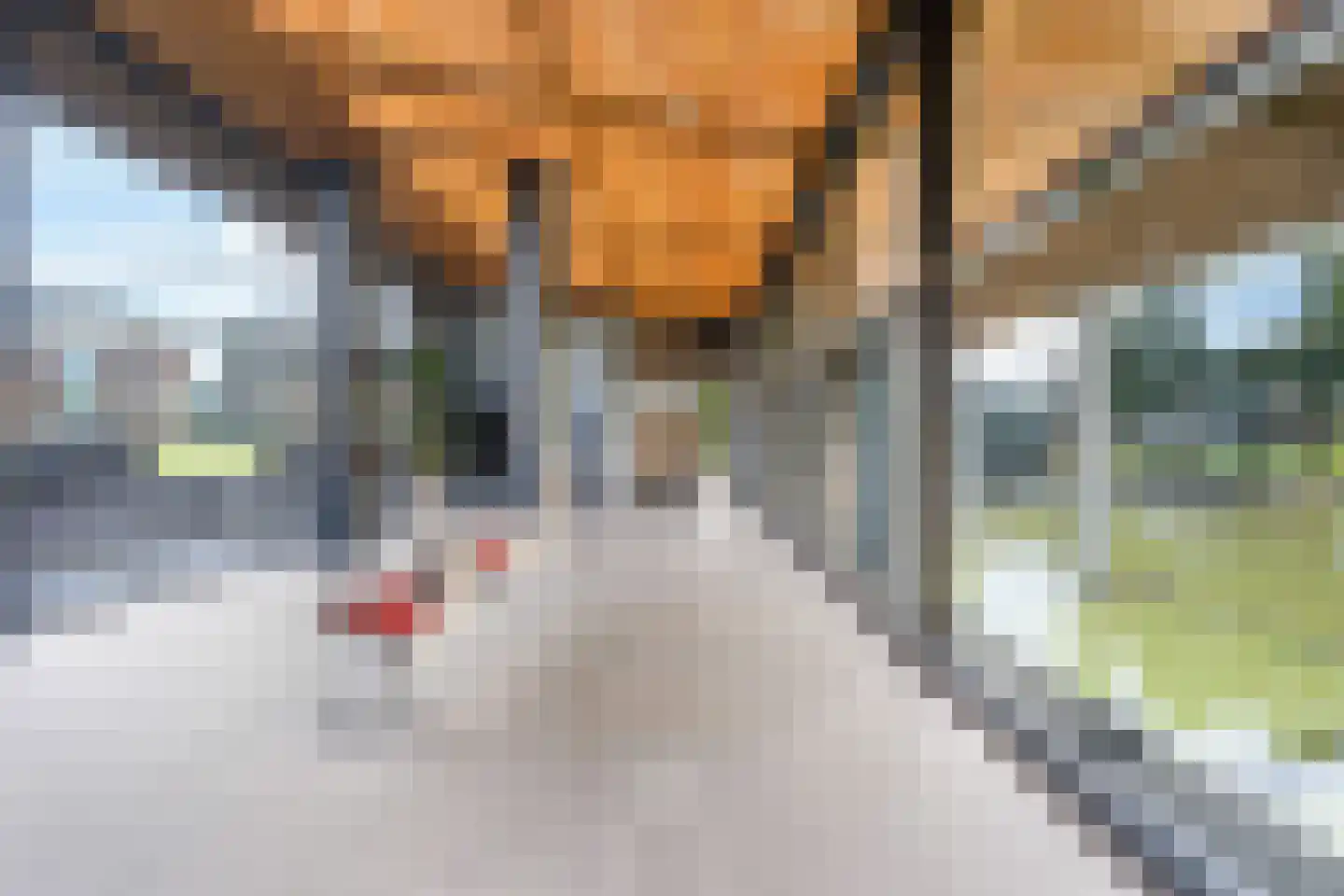 Albert Schweitzersingel 27 Zoetermeer thumbnail 9