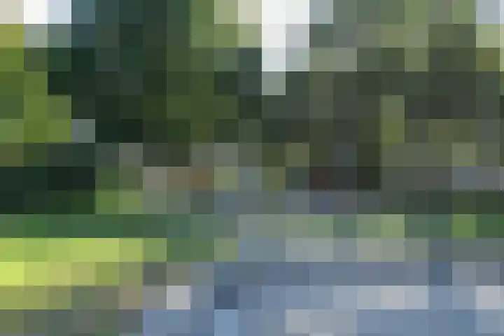Albert Schweitzersingel 331 Amersfoort thumbnail 30