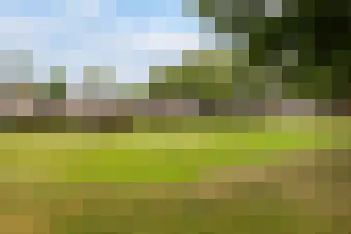 Albert Schweitzersingel 419 Amersfoort thumbnail 5