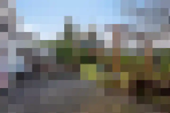 Albert Schweitzersingel 445 Amersfoort thumbnail 22