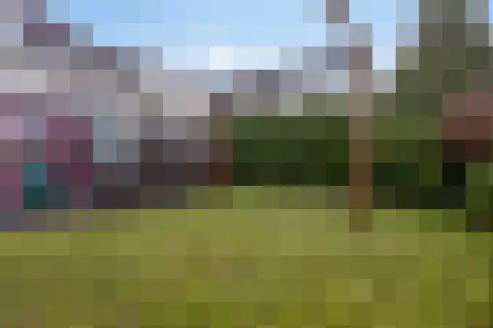 Albert Schweitzersingel 445 Amersfoort thumbnail 24