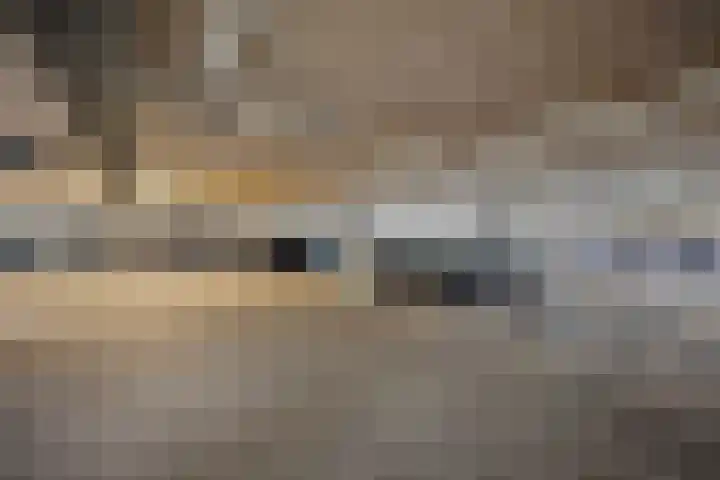 Albert Schweitzersingel 50 Amersfoort thumbnail 31
