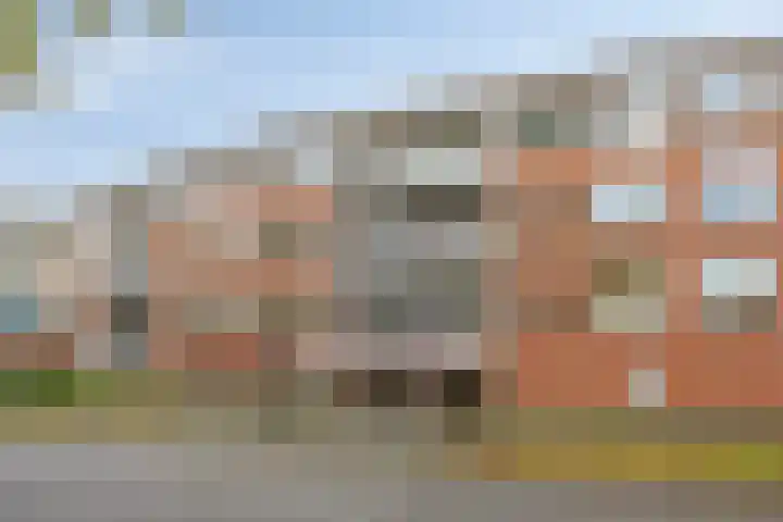 Albert Schweitzersingel 50 Amersfoort thumbnail 4