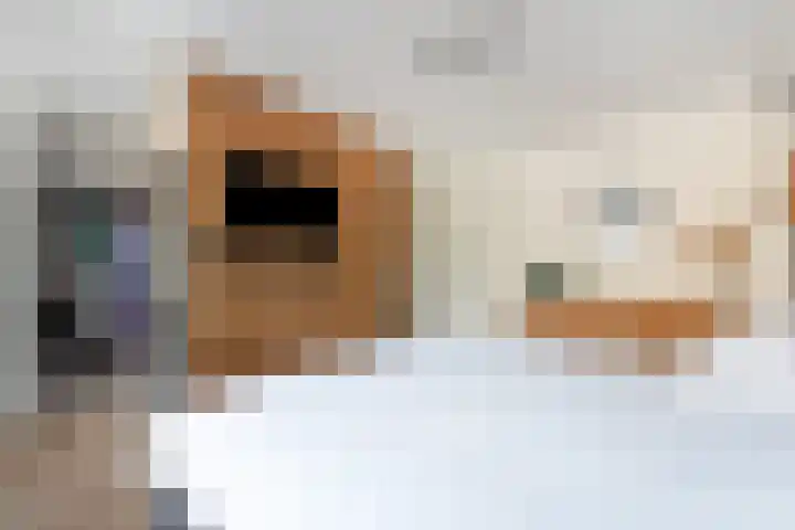 Albert Schweitzersingel 83 Amersfoort thumbnail 19