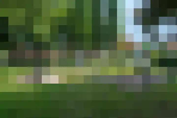 Albert Schweitzersingel 83 Amersfoort thumbnail 41