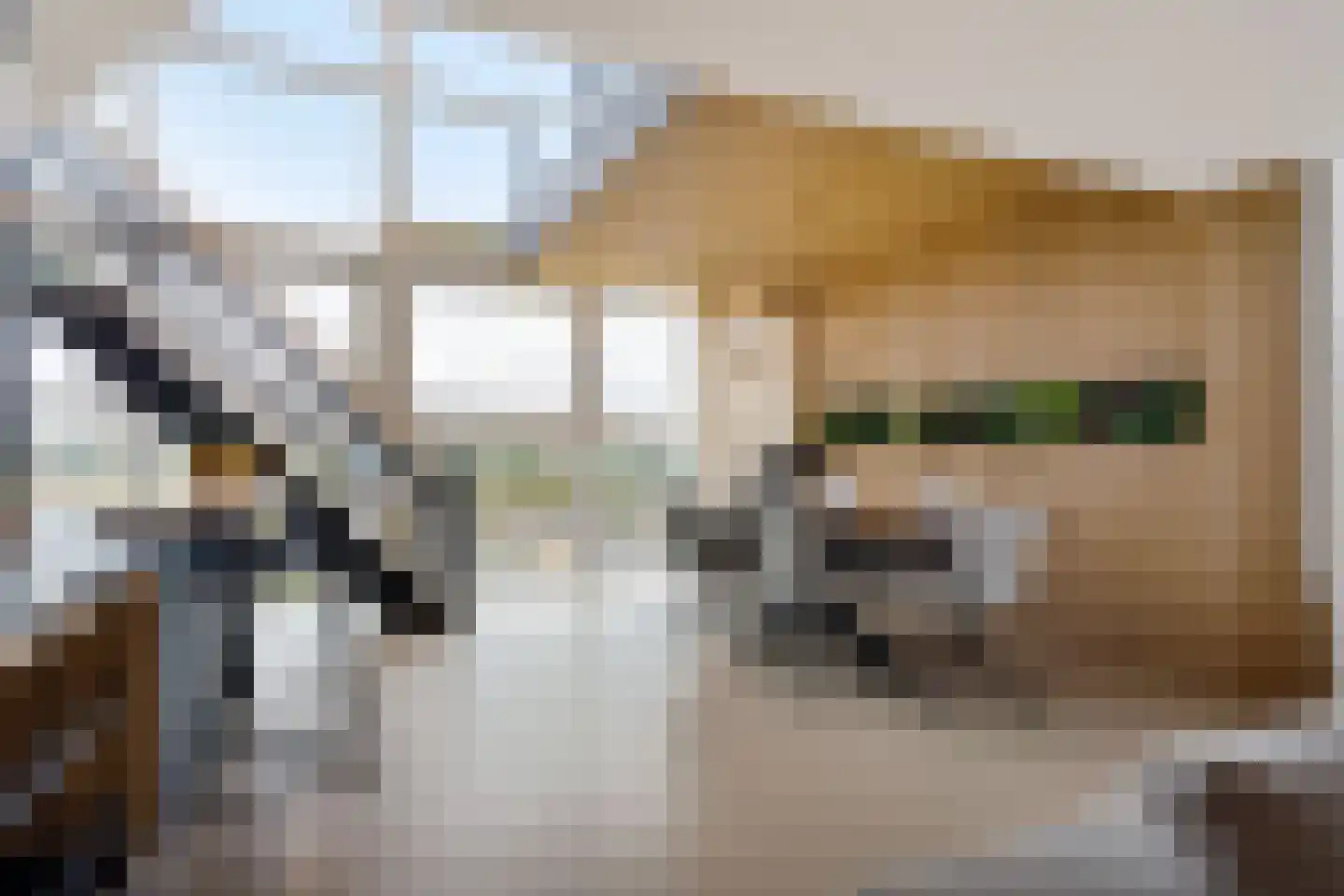 Albert Schweitzersingel 91 Zoetermeer thumbnail 15
