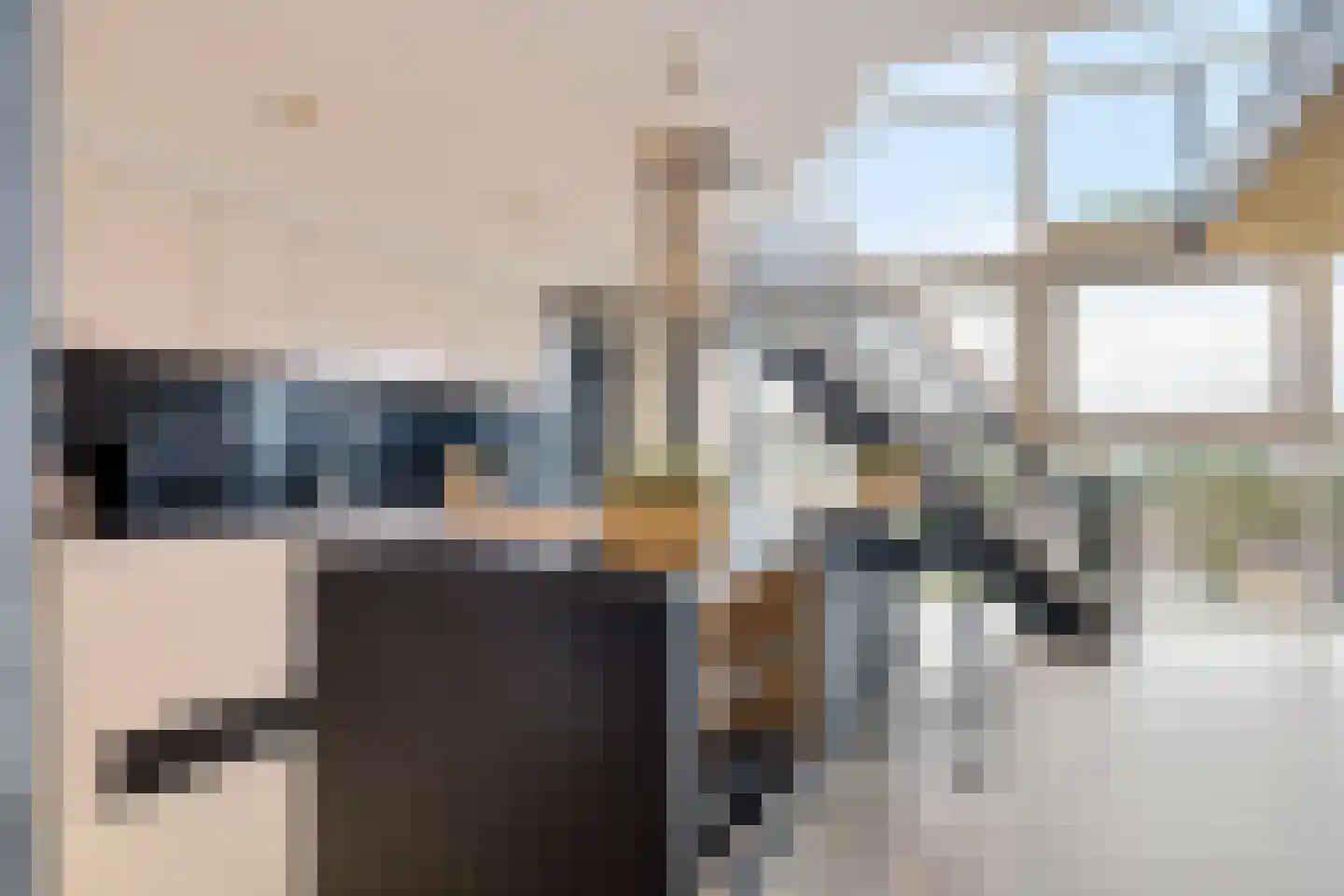 Albert Schweitzersingel 91 Zoetermeer thumbnail 16