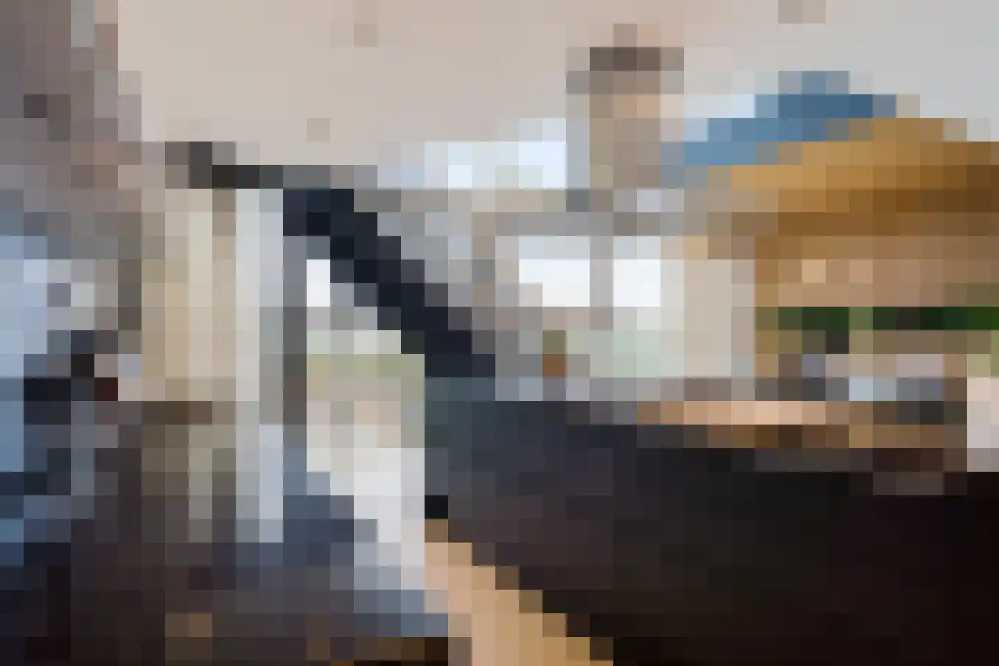 Albert Schweitzersingel 91 Zoetermeer thumbnail 19