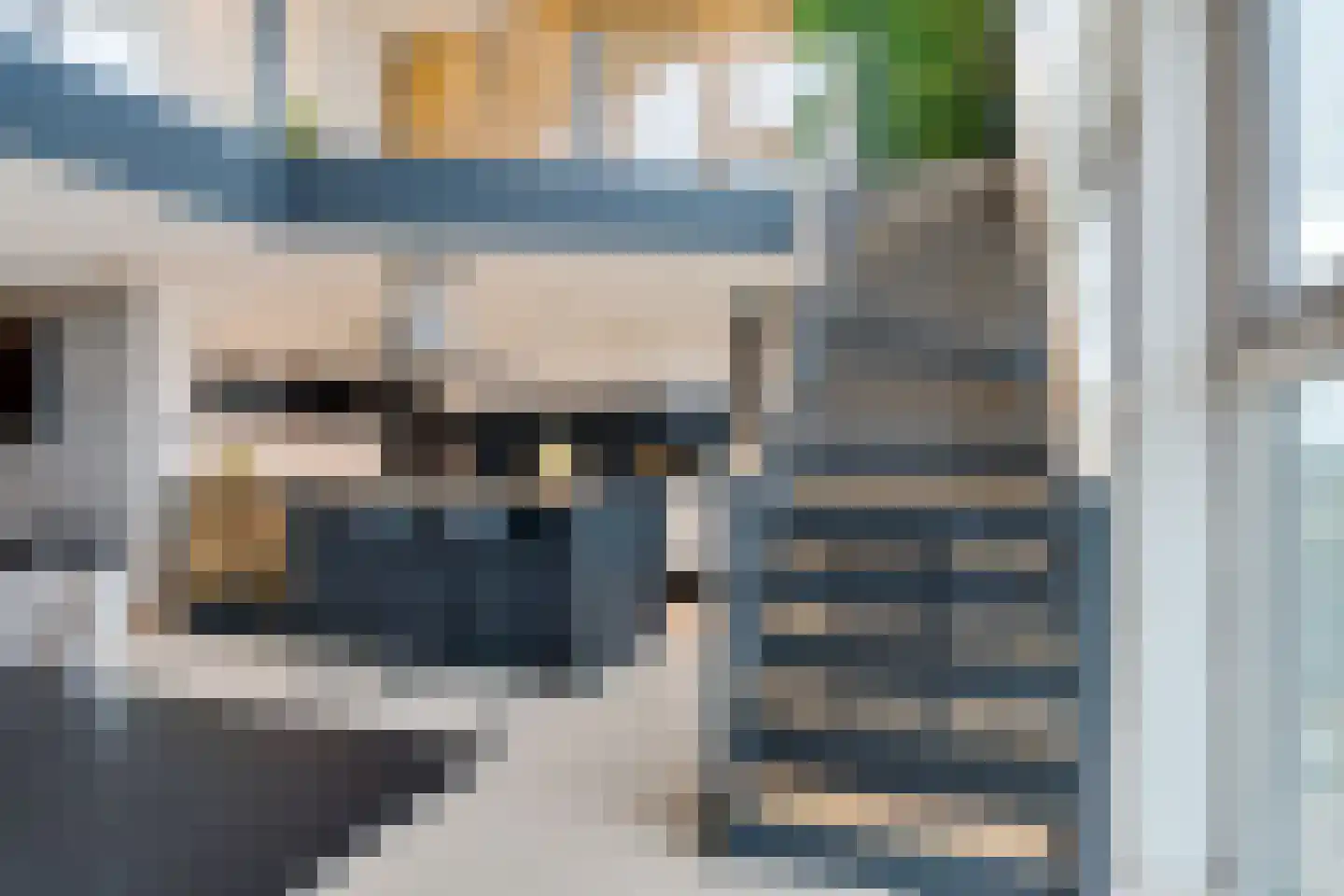 Albert Schweitzersingel 91 Zoetermeer thumbnail 21
