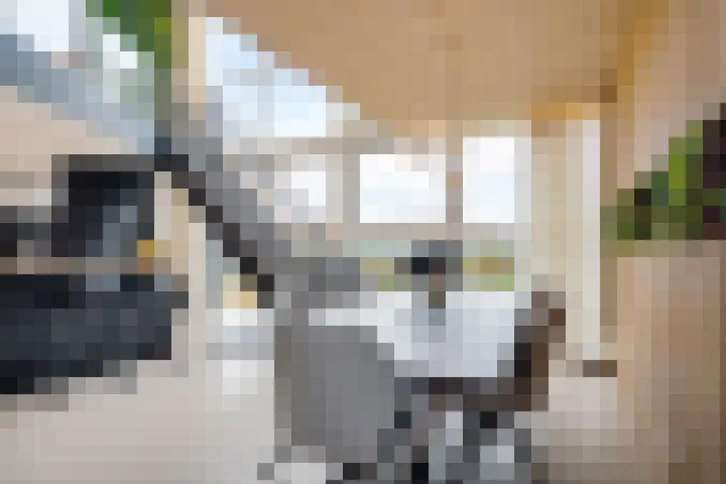 Albert Schweitzersingel 91 Zoetermeer thumbnail 23
