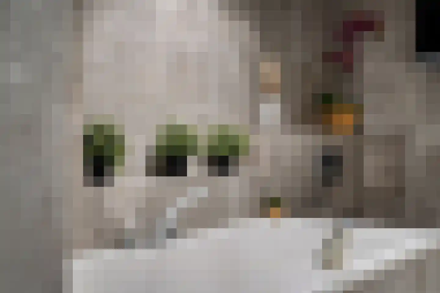 Albert Schweitzersingel 91 Zoetermeer thumbnail 31