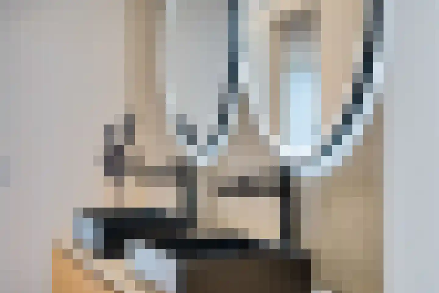 Albert Schweitzersingel 91 Zoetermeer thumbnail 37