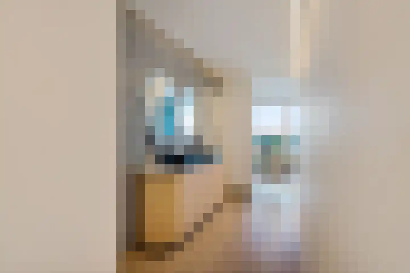 Albert Schweitzersingel 91 Zoetermeer thumbnail 38
