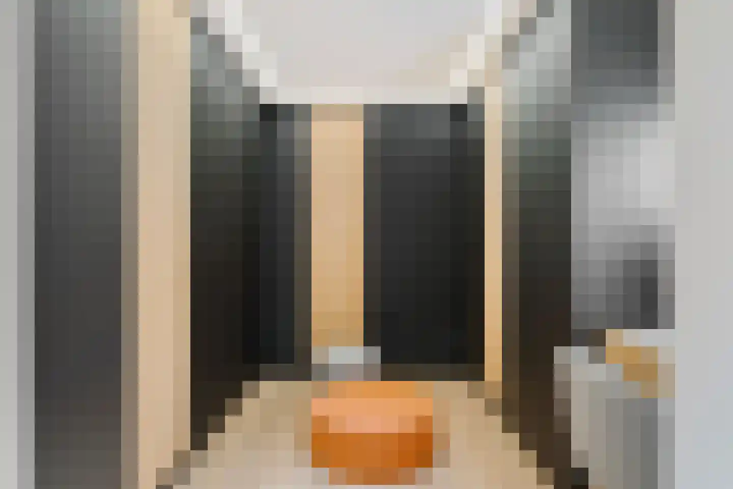 Albert Schweitzersingel 91 Zoetermeer thumbnail 42