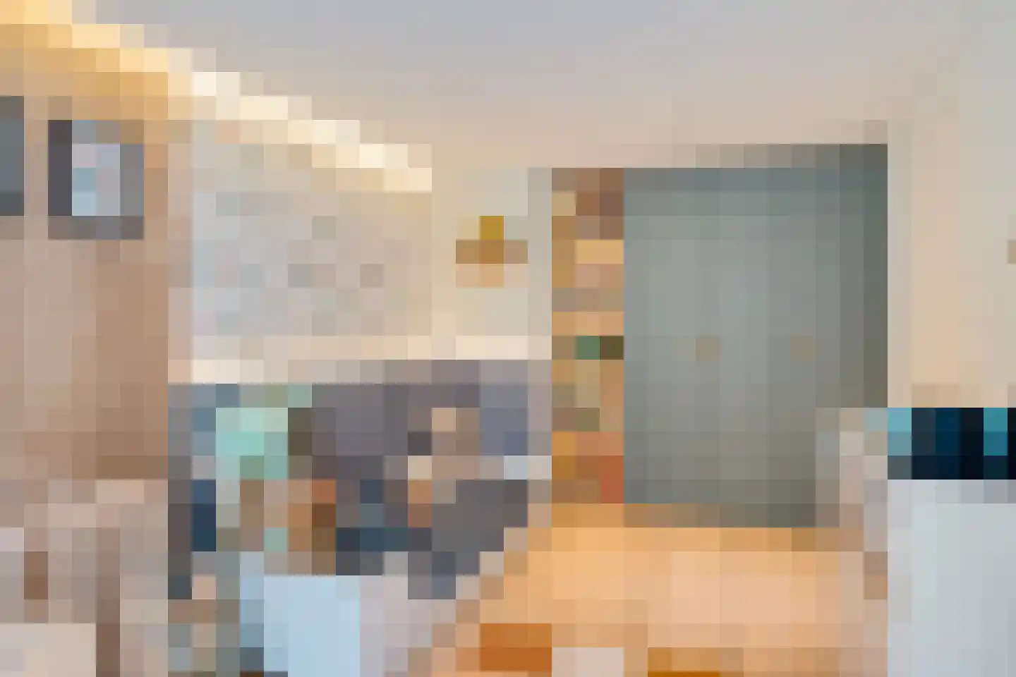 Albert Schweitzersingel 91 Zoetermeer thumbnail 48