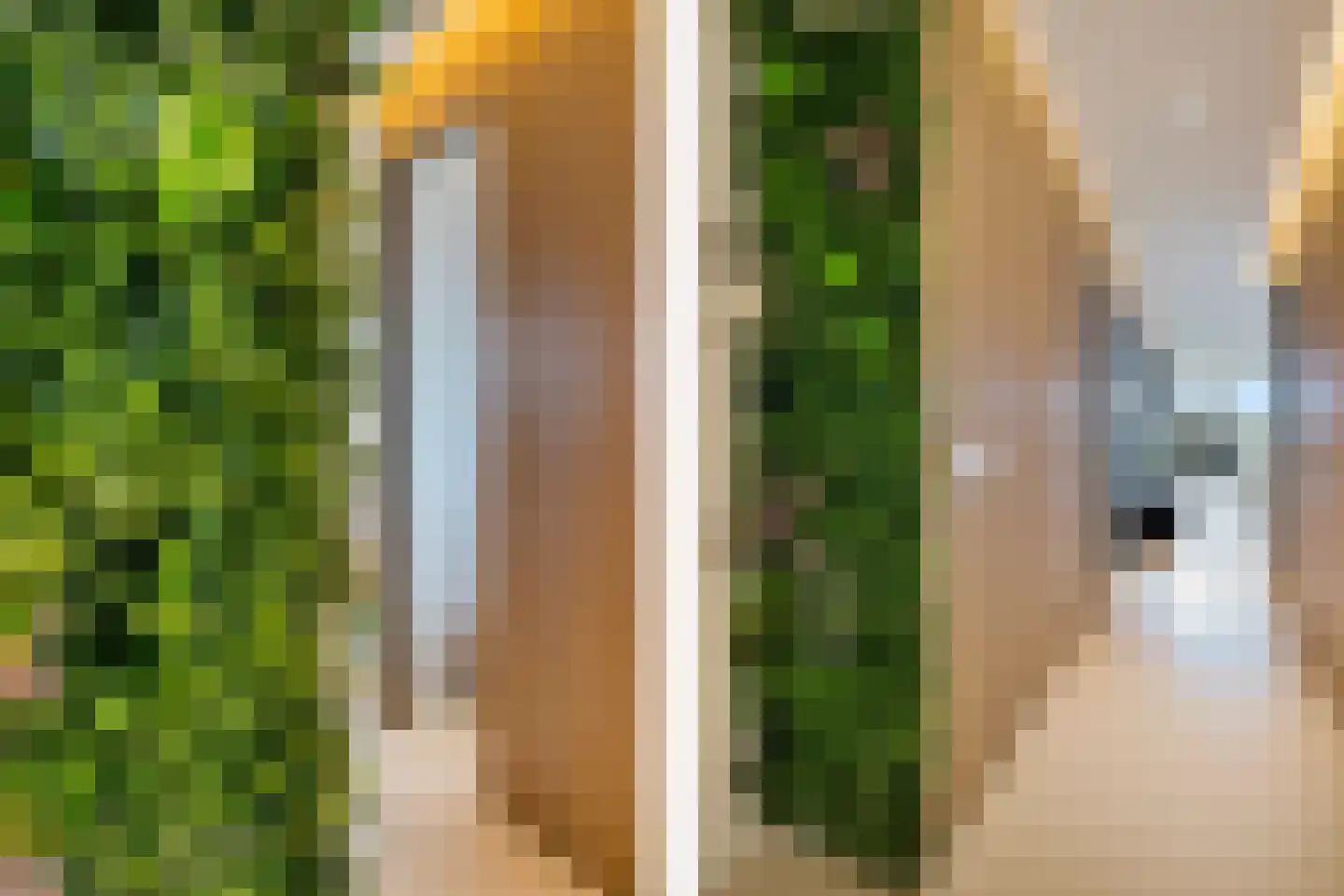 Albert Schweitzersingel 91 Zoetermeer thumbnail 56
