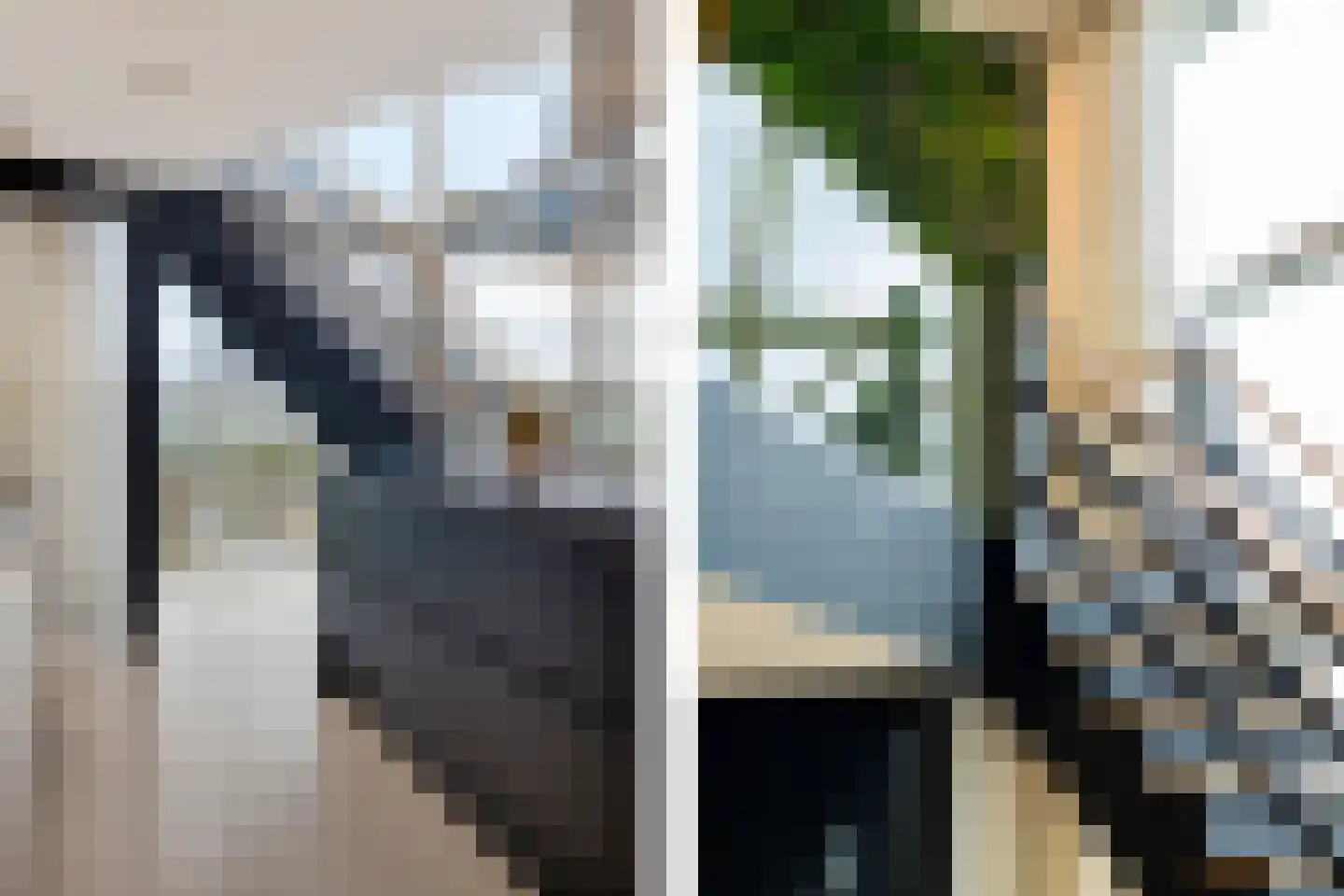 Albert Schweitzersingel 91 Zoetermeer thumbnail 63