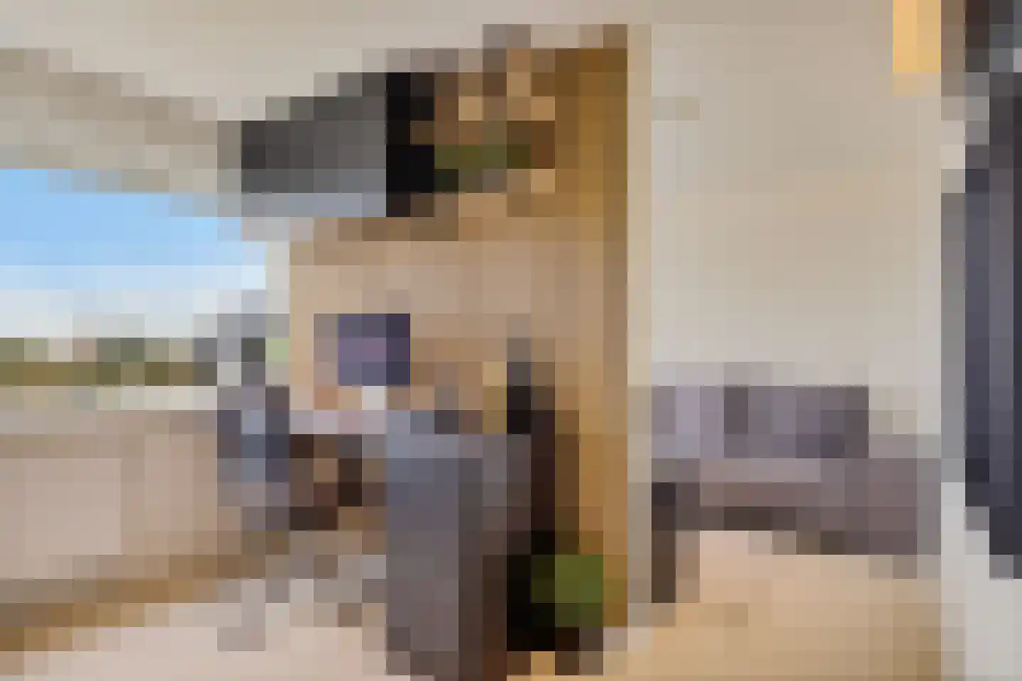 Albert Schweitzersingel 91 Zoetermeer thumbnail 9