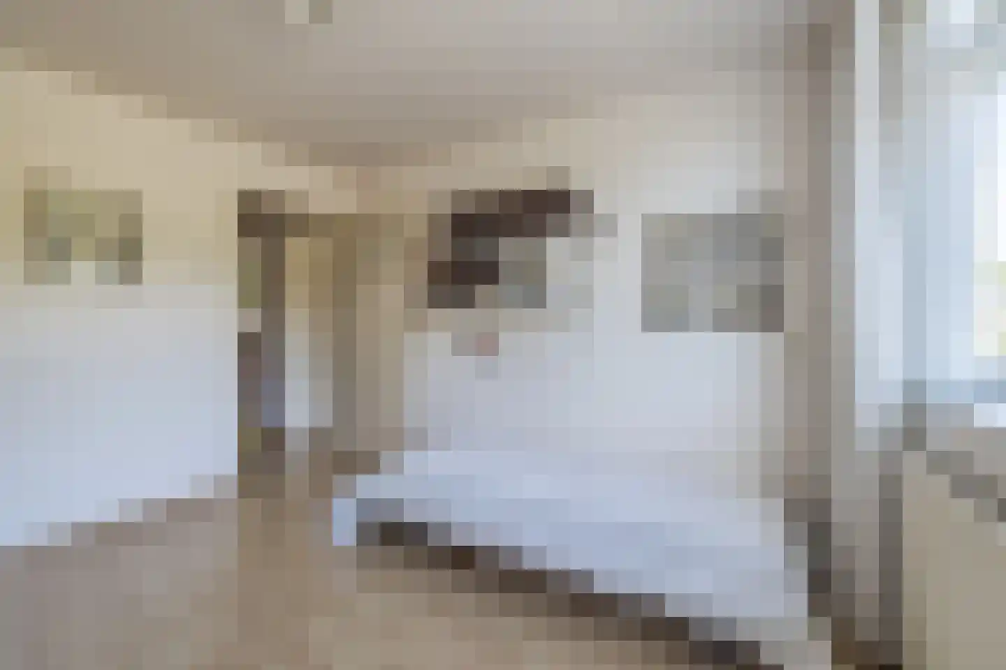 Albert Schweitzerstraat 10 Goirle thumbnail 22
