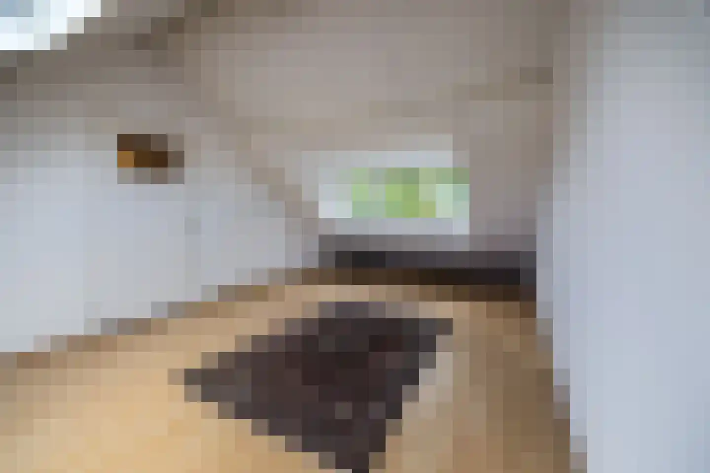 Albert Schweitzerstraat 10 Goirle thumbnail 29